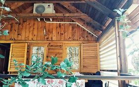 Guest House Laguna
